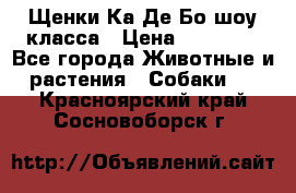 Щенки Ка Де Бо шоу класса › Цена ­ 60 000 - Все города Животные и растения » Собаки   . Красноярский край,Сосновоборск г.
